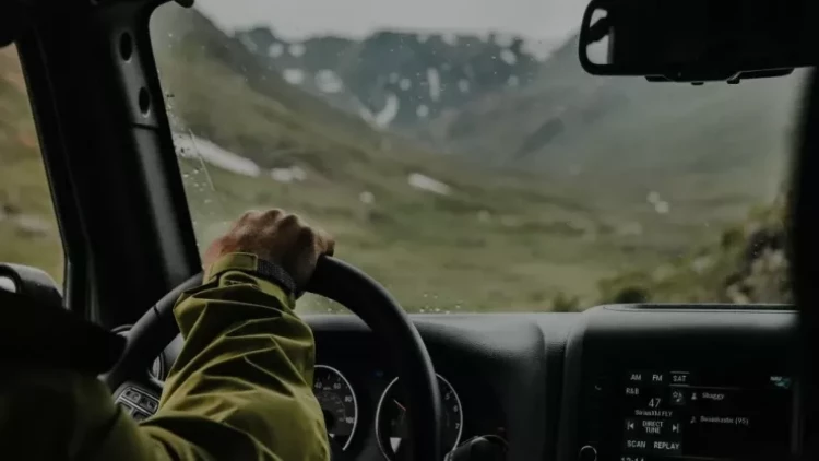 Avtomobilin salonunda ideal təmizlik yaratmaq üçün sadə ÜSULLAR