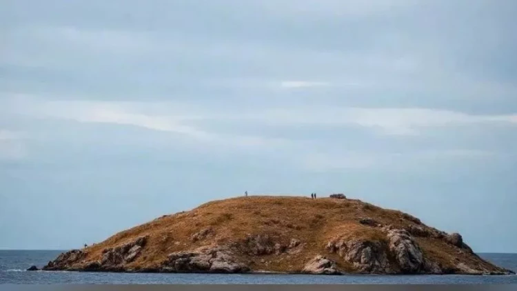 Xəzərdə 160 il sonra ilk: Azərbaycan yaxınlığında göründü