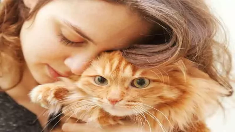 Pişiklər sahiblərini necə tanıyır?