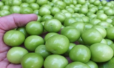 Alça yedikdən sonra bunlara diqqət edin!