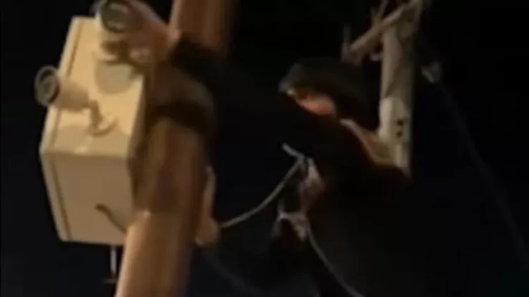 Bakıda polis kameraları sındıran yeniyetmələri tapdı - Ailələri bölməyə çağırıldı - VİDEO