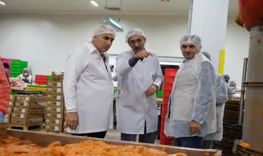 Bu markalardan uzaq durun - Nazirlik 42 məhsulu açıqladı