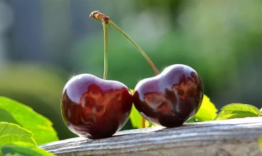 Gündə nə qədər gilas yemək olar?