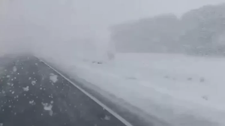 Yaya həftələr qalmış Rusiyaya qar yağdı – VİDEO