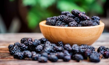 Tutun sağlamlığımıza faydası