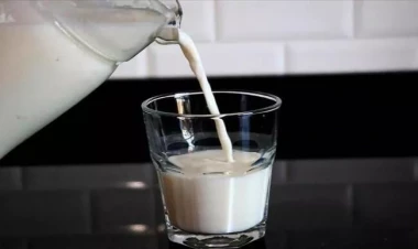 Ayranın içinə 1 qaşıq əlavə edin –  Faydaları say-say bitmir