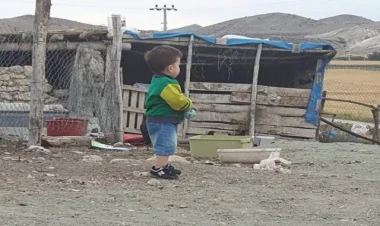 Ağcaqanad 1 yaşlı uşağın həyatını məhv etdi - 6 ildir yataq xəstəsidir - FOTO