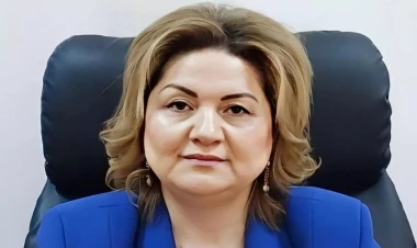 Daha bir direktor barəsində tədbir görüləcək