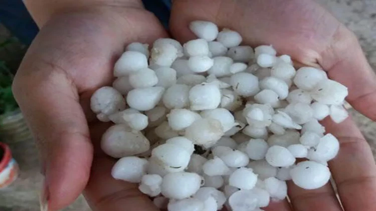 Naxçıvana dolu yağdı - FOTO