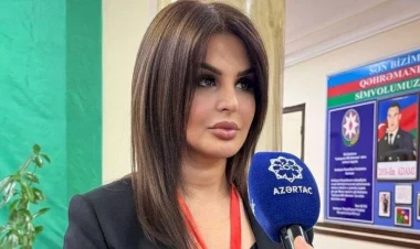 İşdən çıxarılan direktorun başqa vəzifəsi var imiş