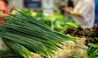 Faydasını bilən yaşıl soğanın qoxusunu unudar