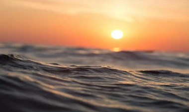 Çimərlikdən hissələrə ayrılmış qadın meyiti tapıldı - FOTO