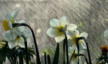 Hava yenə pisləşir - Bu tarixlərdə leysan yağacaq, sel gələcək