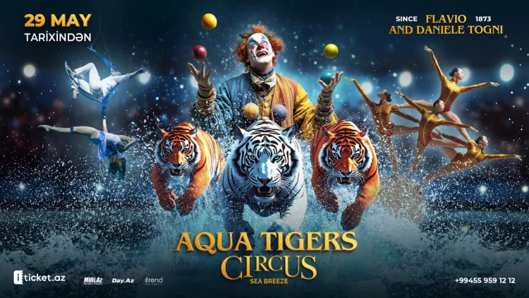 “Su və Pələnglər Sirki” - Circus Sea Breeze səhnəsində bu yay Bakının ən möhtəşəm sirk hadisəsi!