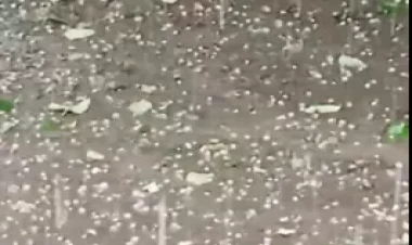 Yardımlıya güclü dolu yağdı - VİDEO