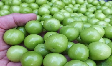 Özü turş olsa da, qiyməti çox 