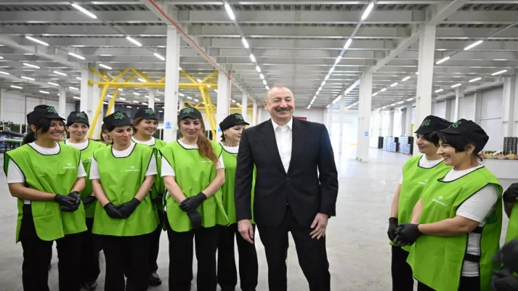 Prezident Qusarda bağçılıq və soyuducu anbar kompleksinin fəaliyyəti ilə tanış olub - VİDEO - FOTO