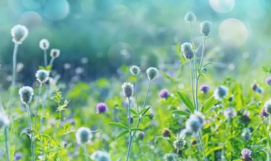 Aprel ayının son günü hava necə olacaq?