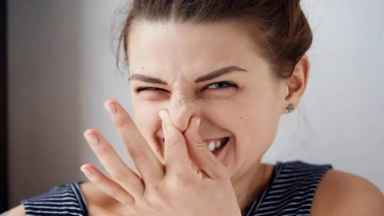 İylə, saatına 50 manat qazan - Qəribə iş elanı