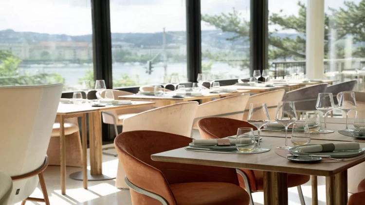 Lüks restorandakı bu yeməyin qiyməti 924 manatdır - peyindən hazırlanır