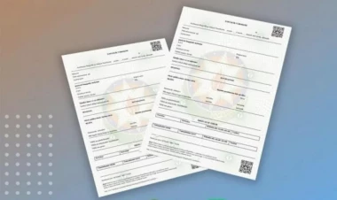 Elektron xəstəlik vərəqini kimlər ala bilər?