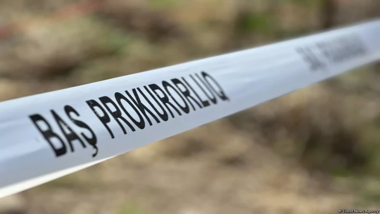 Azərbaycanda 75 yaşlı qadını öldürüb quyuya atdılar - YENİLƏNİB