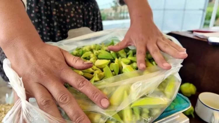 Bu tərəvəz bağırsaqları “motor” kimi işlədir, sümükləri “beton”a çevirir, qan şəkərini isə... - FOTO