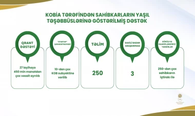 Sahibkarların “yaşıl layihə”lərinin maliyyələşdirilməsinə dəstək üçün 450 min manat həcmində qrant ayrılıb