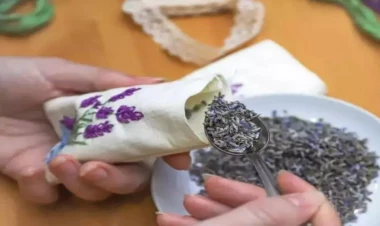 Damarları açır, ürəyi gücləndirir - Gündə iki qaşıq bəs edir