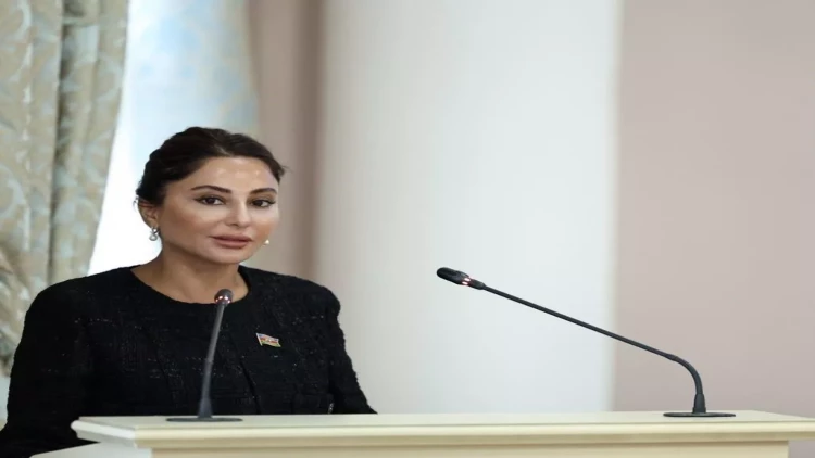 Əminə Ağazadə Sankt-Peterburqda model qanun layihələri ilə bağlı məruzə edib - VİDEO - FOTO