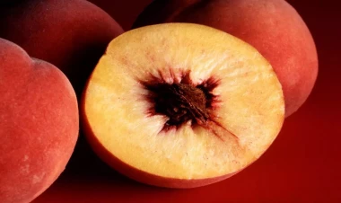 Ömründə bir dəfə şaftalı yeyib, o gündən heçnə yeyə bilmir