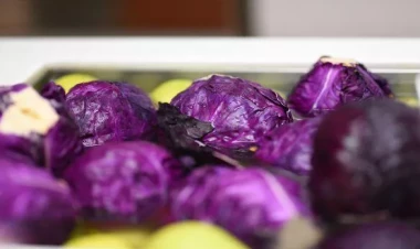 İmmuniteti gücləndirən möcüzə: Qırmızı kələmin faydaları