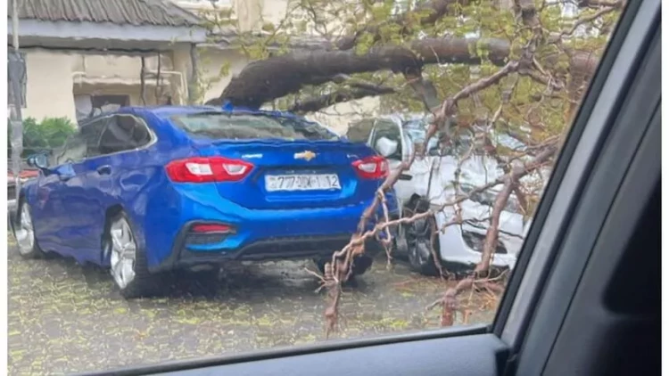 Yağış yetmədi, külək də zərər vurdu – Maşınlar zədələndi - FOTOlar