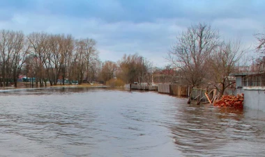 Azərbaycanda çaydan görün nə tapıldı