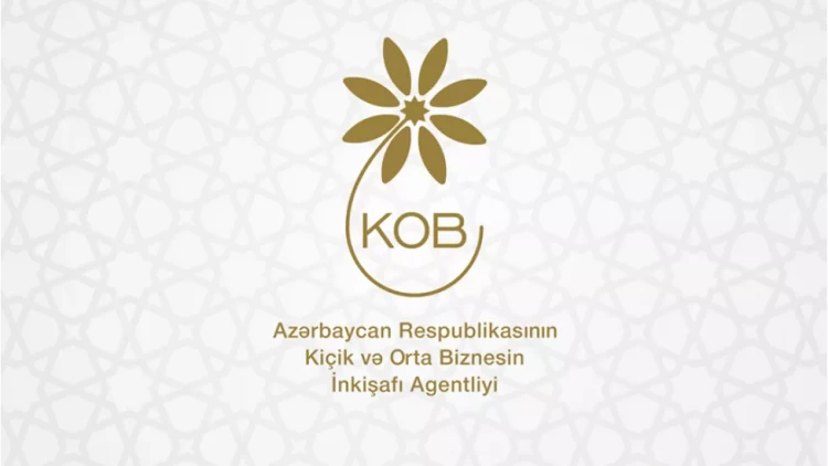 Biznesin inkişaf etdirilməsi ilə bağlı İmişlidən olan sahibkarlarının təklifləri dinlənilib - FOTOlar