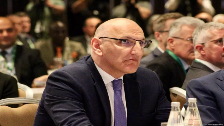 Zəngəzur dəhlizi Ermənistanın iqtisadi təcriddən çıxması üçün yaxşı imkan olacaq - Elçin Əmirbəyov