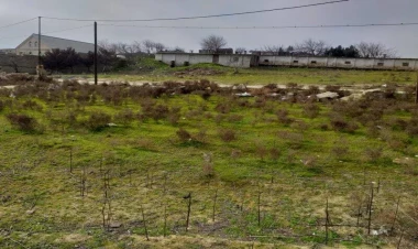 Çıxarışı olmayan torpağın aqibəti necə olacaq?