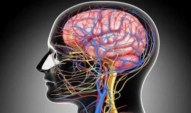 Bu peşə beyin üçün ən təhlükəlisidir