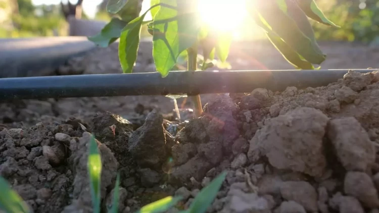 Samuxda suvarma sistemi problemi həll edildi