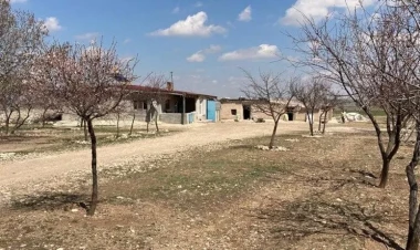 Ana 3 yaşlı qızını amansız şəkildə qətlə yetirdi: Sevdaya ömürlük həbs cəzası - FOTO