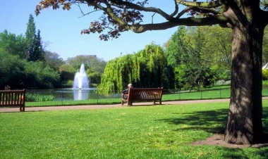 Bakıda bu ərazidə yeni park salınacaq