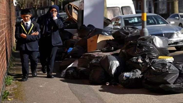İngiltərəni siçanlar basdı - Pişikdən daha böyükdürlər