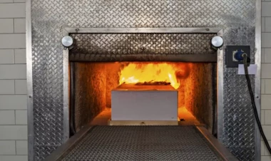 Ekodəfn nədir və bu üsula cəmiyyət necə baxır? - Bakı sakinləri arasında SORĞU