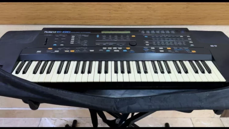 Mingəçevirdə musiqi alətləri oğurlayan tutuldu - FOTO