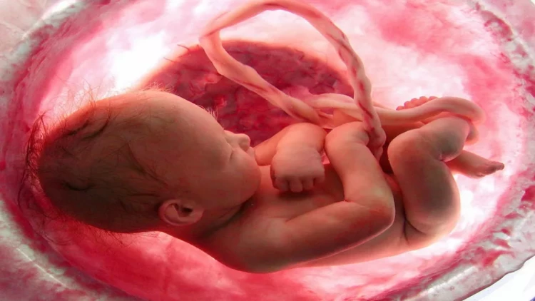 Ana bətnində körpə ölümlərinin sayı niyə artıb? - SƏBƏBLƏRİ