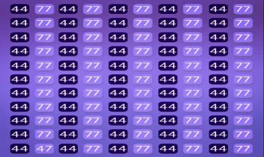 Yalnız dahilər eyni cütlər dənizində 47 nömrəsini tapacaqlar: çox çətin tapmaca - FOTO