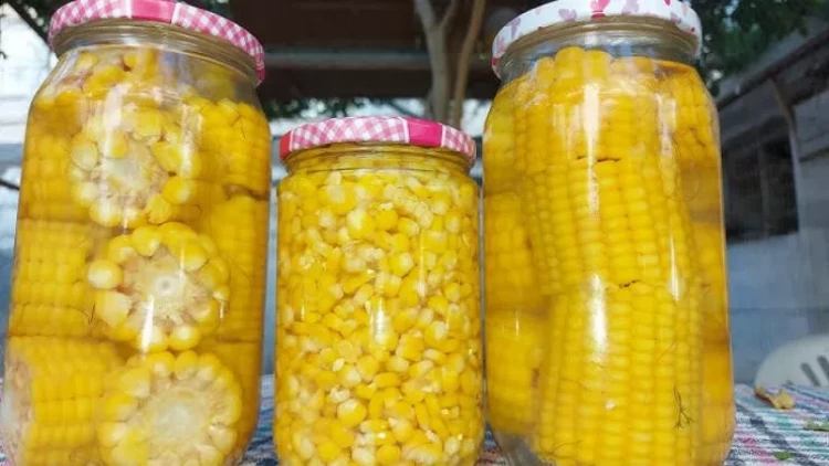 Qarğıdalı turşusu RESEPTİ