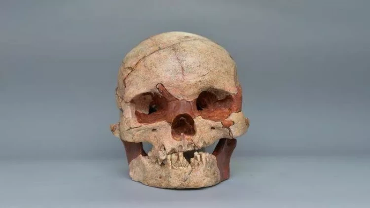 Alimlər 16 min il əvvəl yaşayan insanın üzünü bərpa ediblər