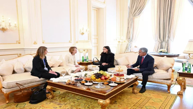 Mehriban Əliyevanın Almaniyanın birinci xanımı ilə görüşü olub - VİDEO - FOTO