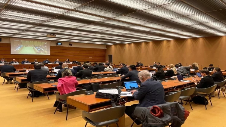 Azərbaycan BMT çərçivəsində mina qurbanlarının hüquqlarının müdafiəsini tələb edən qətnamə irəli sürüb - FOTO